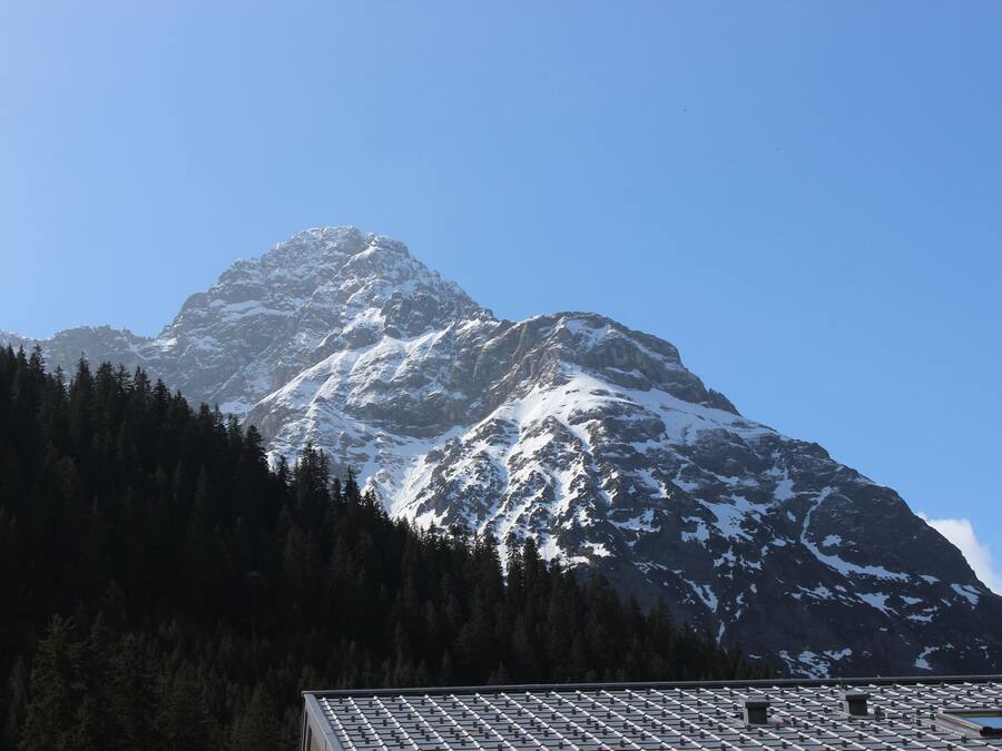 A mountain with snow-covered peaks and a forested area in the foreground.