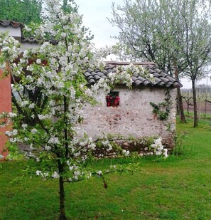 Garden - B&B Terre di Bea (Pederobba)