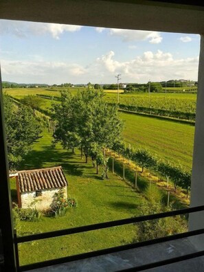 Vista desde la propiedad