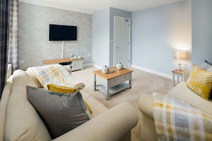 Televisión de pantalla plana, reproductor de DVD