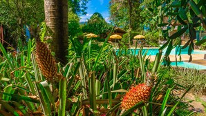 A tropical garden with a pool and outdoor seating. - Pousada Jamboo (Ubatuba)