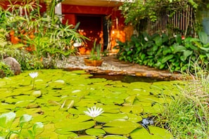 Garden - Pousada Jamboo (Ubatuba)