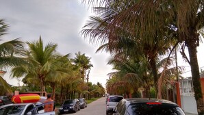 A street lined with palm trees and parked cars. - Aquarius Chalés (Ubatuba)
