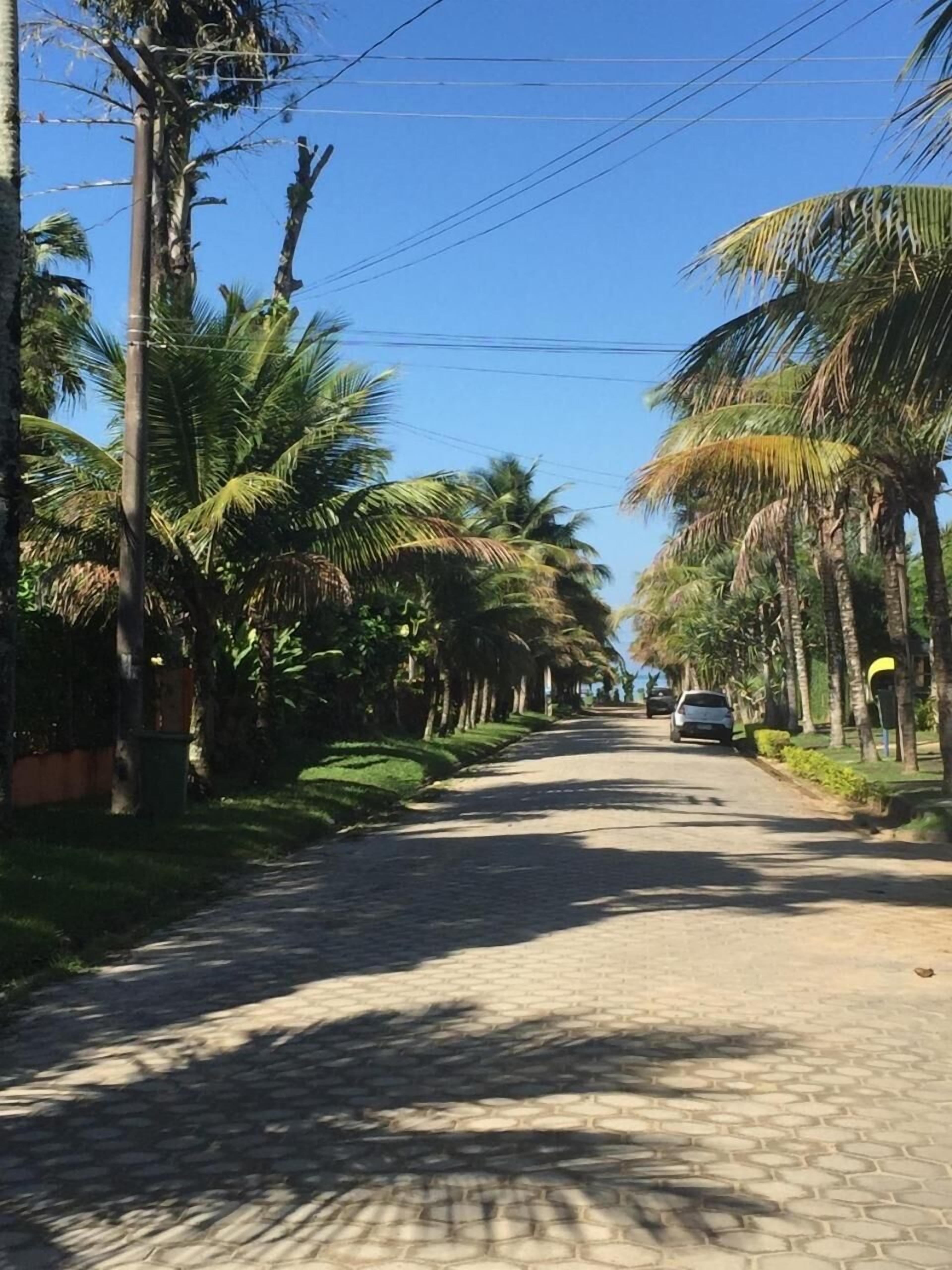 A paved road lined with palm trees and utility poles.