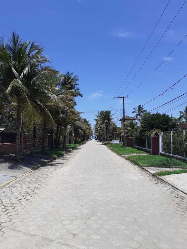 Una carretera pavimentada bordeada de palmeras y casas, con líneas eléctricas aéreas.