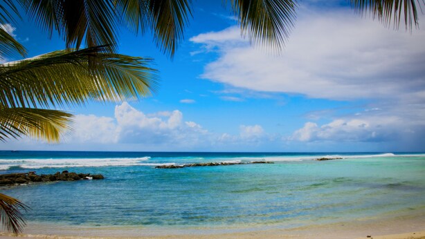 Playa