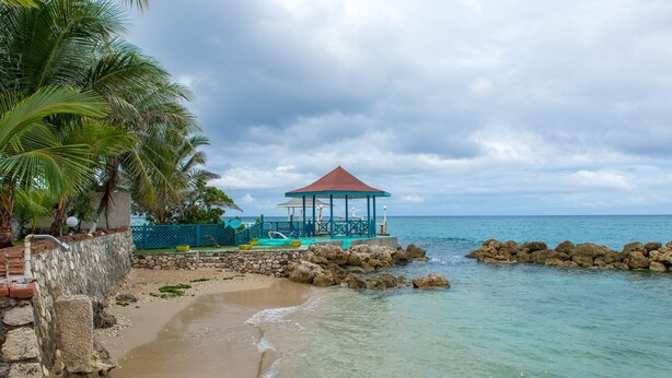 A beach with a gazebo, clear water, and palm trees.