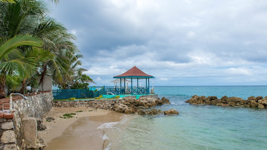 Tropical Beach Suite
