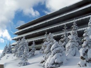 Un immeuble à plusieurs étages, avec des arbres couverts de neige devant.