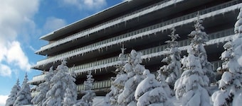 Resort Hotel Palace 2