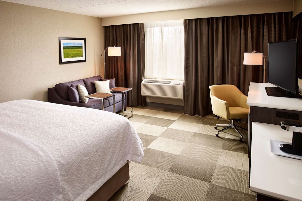 A hotel room with a bed, a sofa, a desk with a television, and an air conditioning unit.