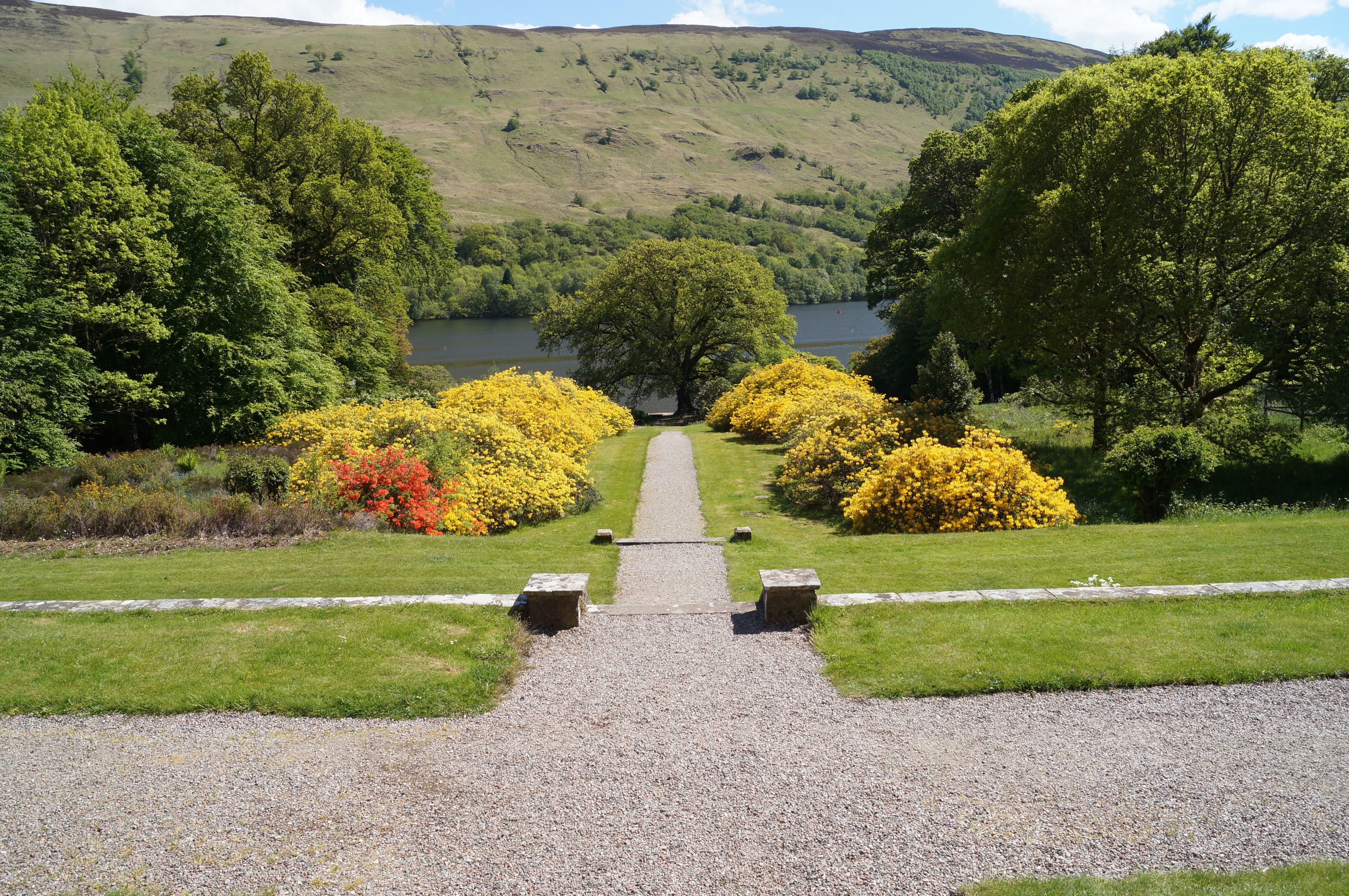 A gravel pathway leading to a lake surrounded by trees and shrubs.