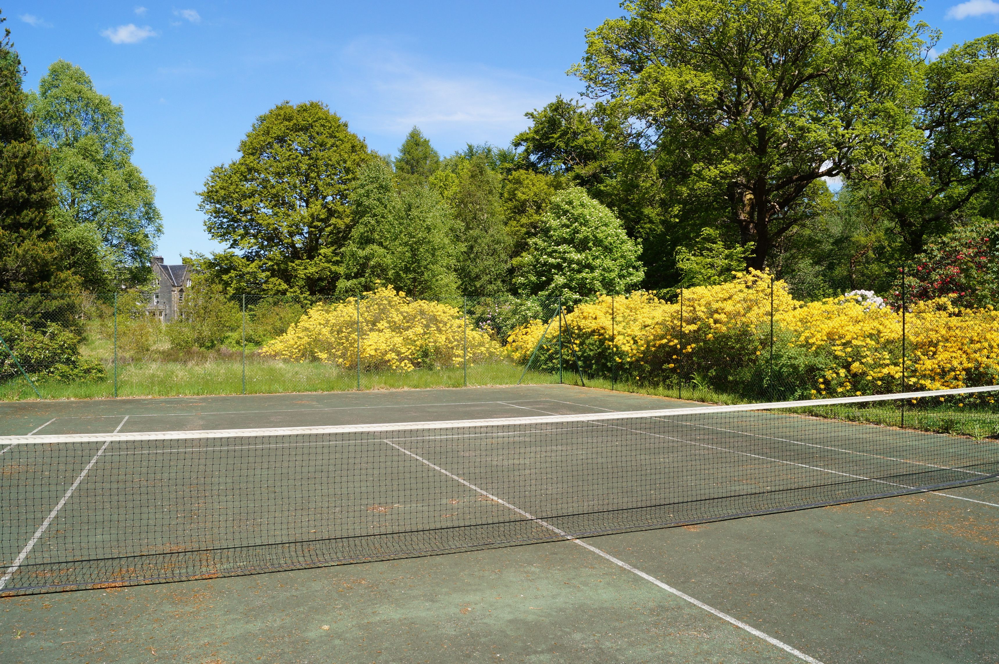 tennis court