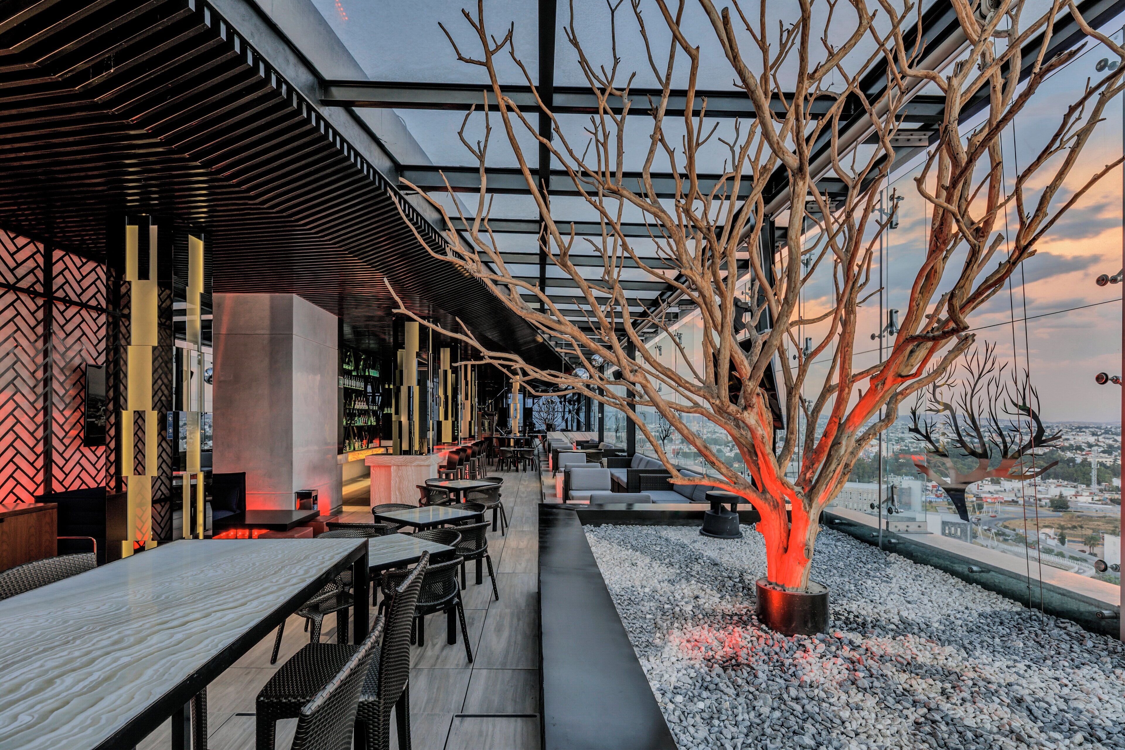 2 か所のバー / ラウンジ、屋上バー