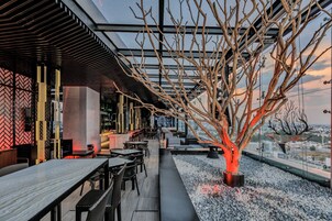 2 bars/lounges, rooftop bar