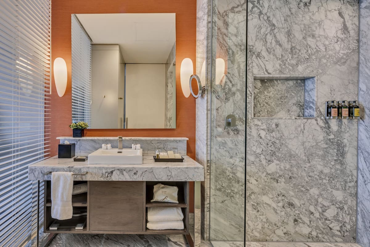 Dusche, Regendusche, Designer-Toilettenartikel, Haartrockner