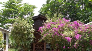 A wooden cabin with a porch, surrounded by lush greenery and vibrant pink flowers. - Beach Road Cottages at Jah Bs (Negril)