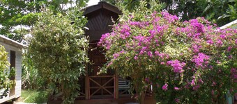 Beach Road Cottages at Jah Bs