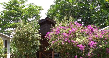 Beach Road Cottages at Jah Bs