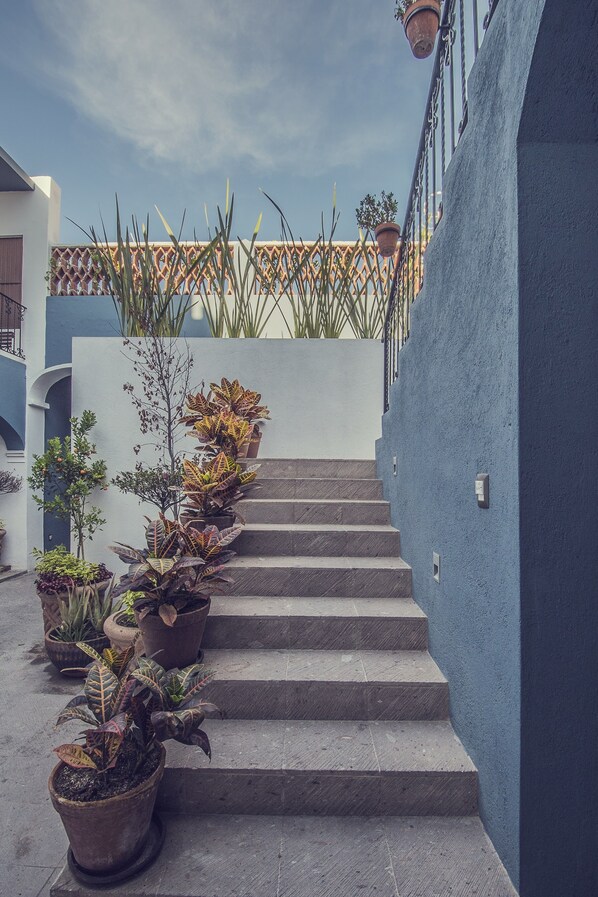 A staircase with potted plants leading up to a balcony.
