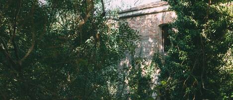 A brick building partially obscured by dense foliage.