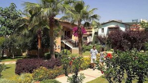 A residential area with a house surrounded by lush greenery, including palm trees and various plants.