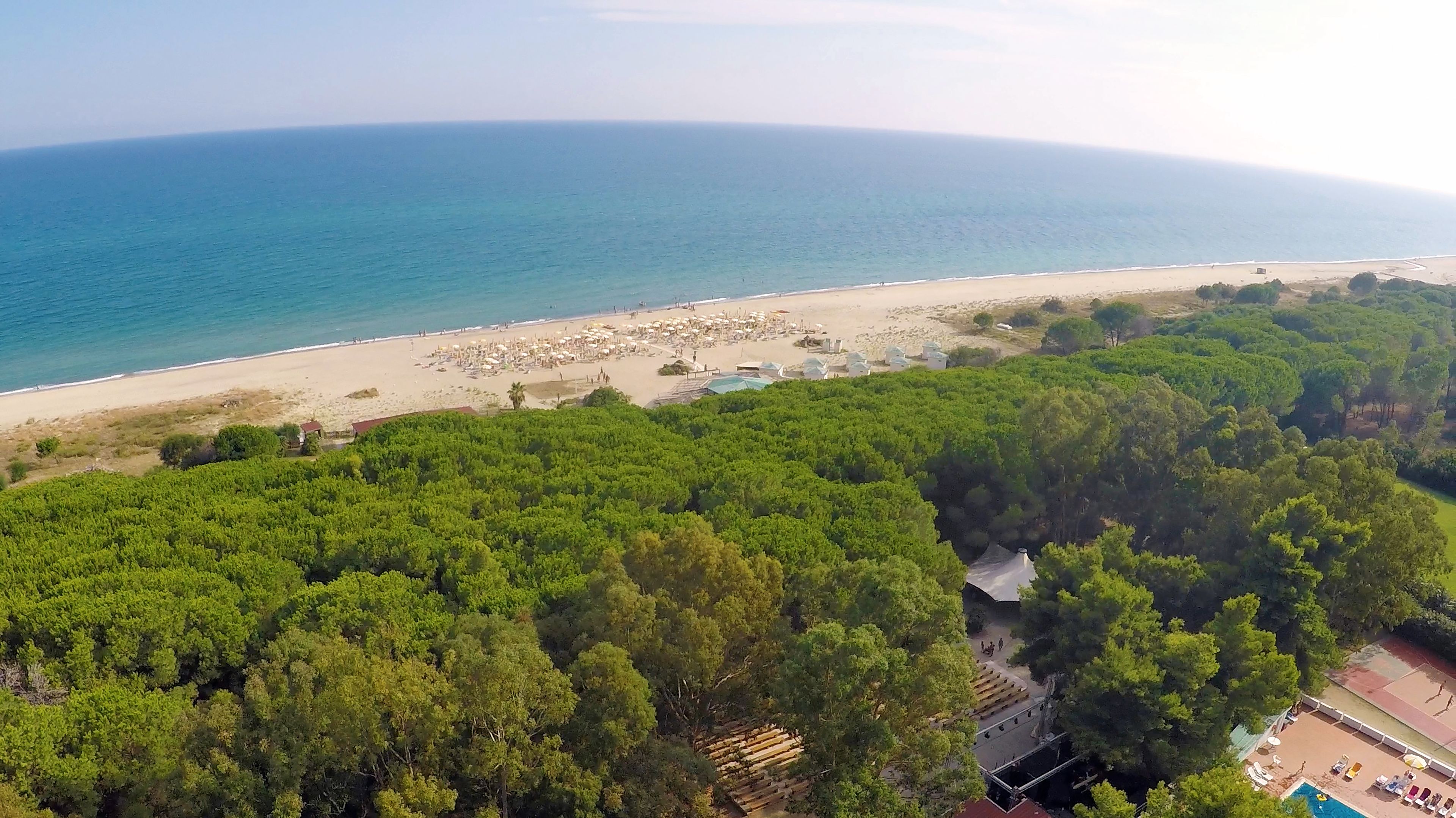 Una vista aerea di una spiaggia con una fitta foresta sullo sfondo, una zona di spiaggia sabbiosa con ombrelloni e tende, e una limpida vista dell'oceano.