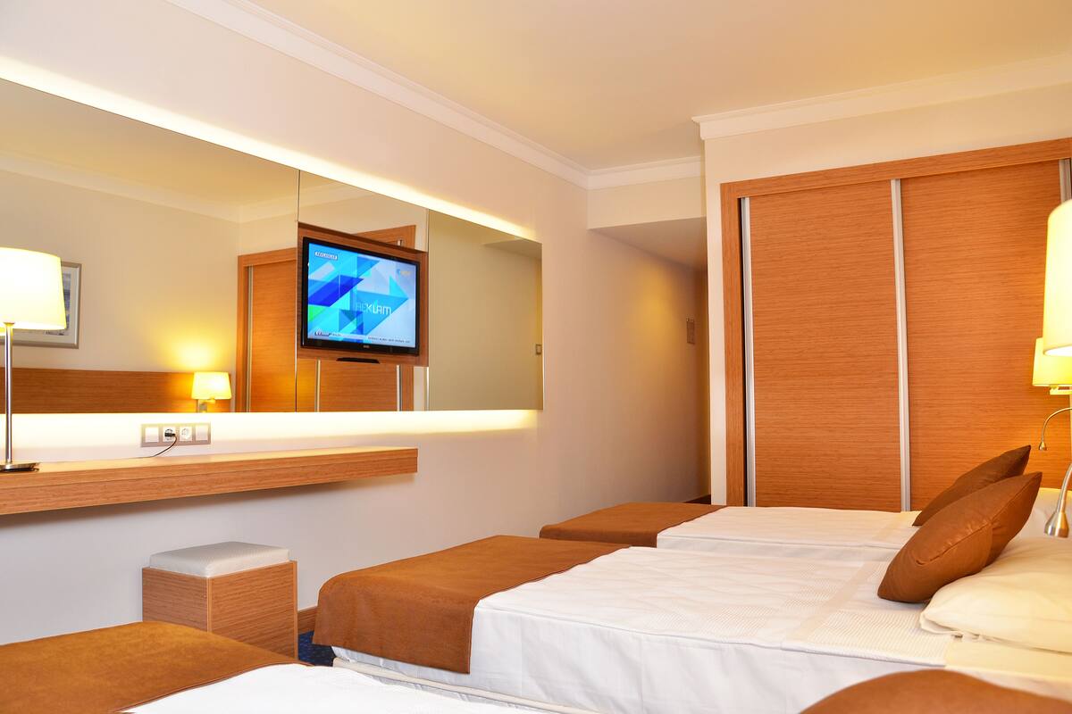 Minibar, in-room safe, desk, WiFi (free)