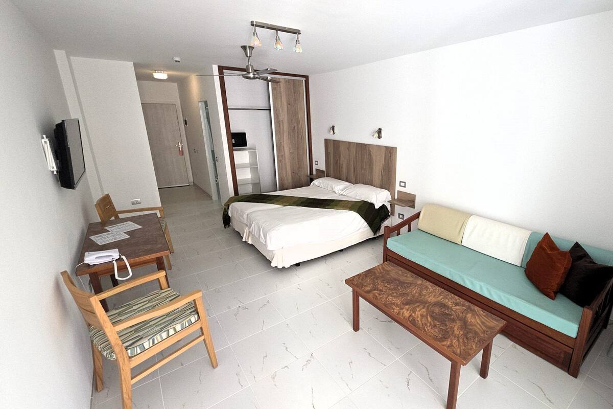Habitación de hotel con cama, sofá, una mesa de madera, una silla, escritorio con teléfono y televisor.