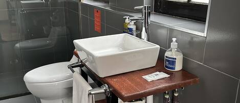 A modern bathroom with a white sink, a toilet, and a glass shower enclosure.