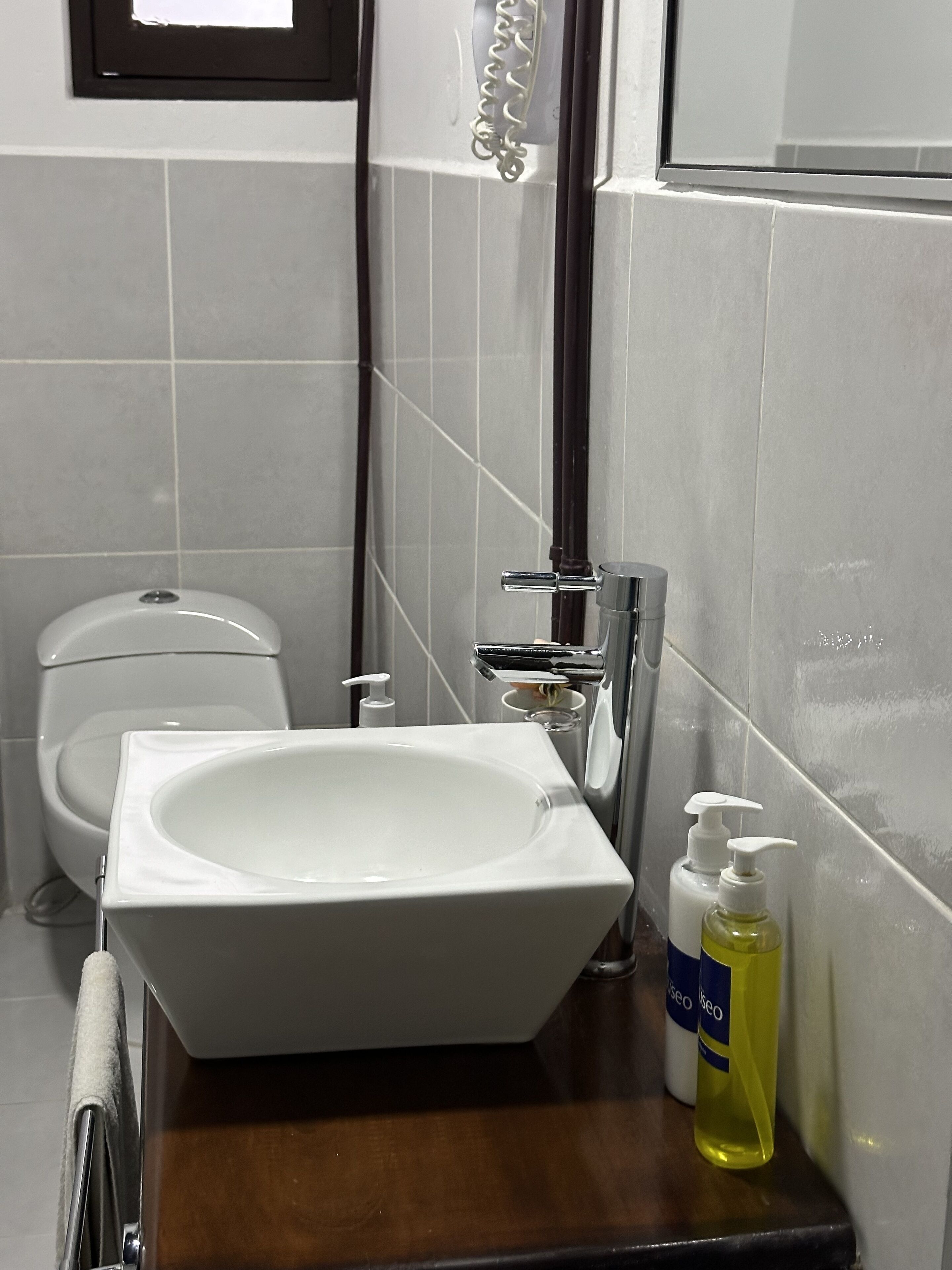 Un baño con un lavamanos blanco, un inodoro y una ducha. Hay dos botellas de jabón para manos sobre el lavamanos.