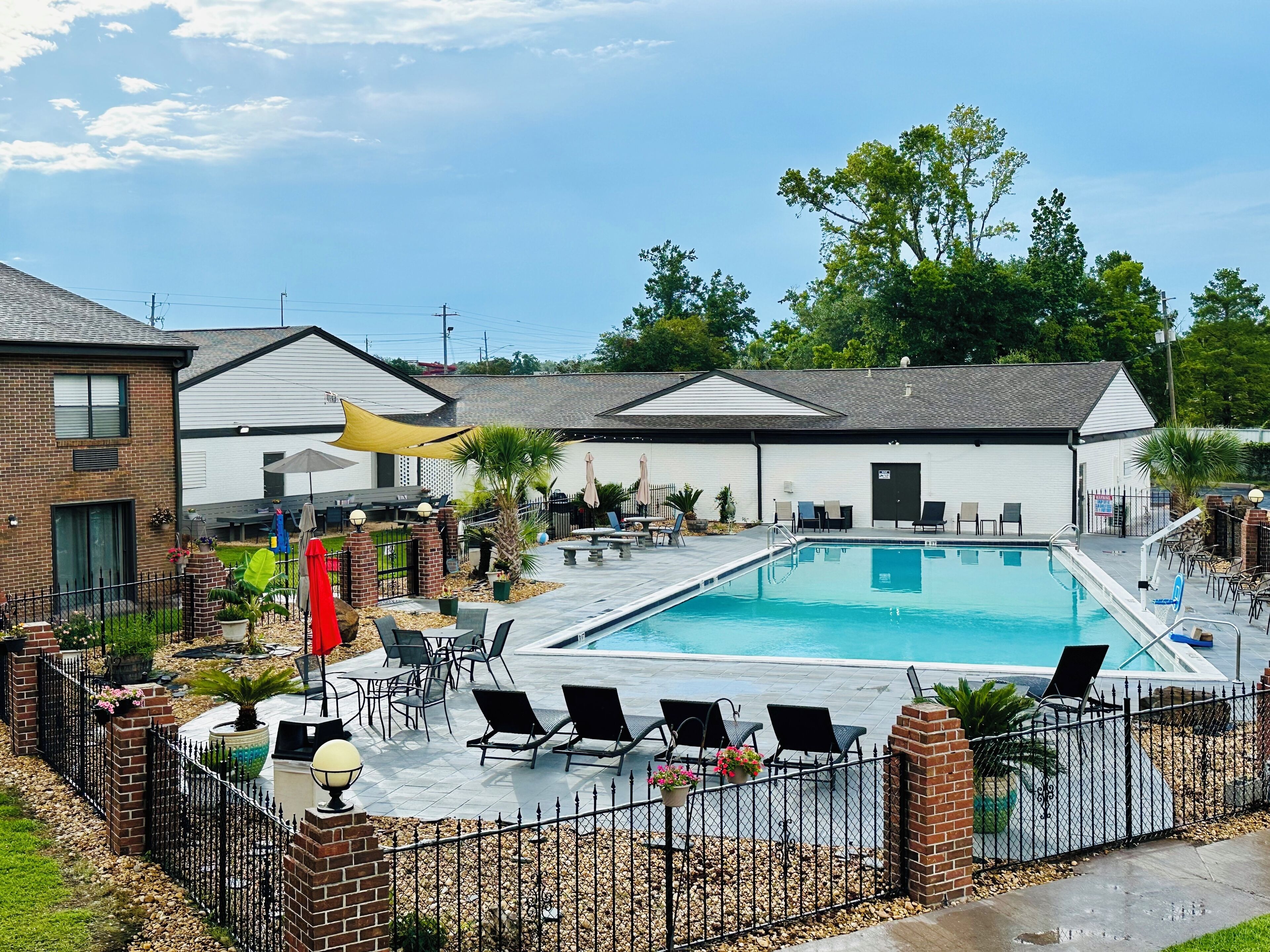 Outdoor pool, sun loungers