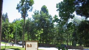 Unclassified image, 3 of 39, button - Balneario de Compostela (Brion)
