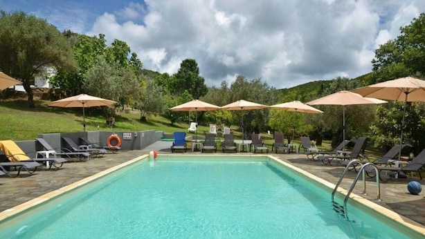 Una piscina rectangular con superficie de agua azul cristalina, rodeada de sillas de descanso y sombrillas, con árboles y un cielo nublado al fondo.