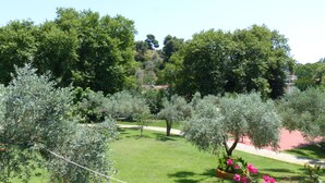 Un jardín con olivos y un sendero.