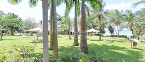 A covered outdoor area with palm trees, lounge chairs, and a view of the ocean.