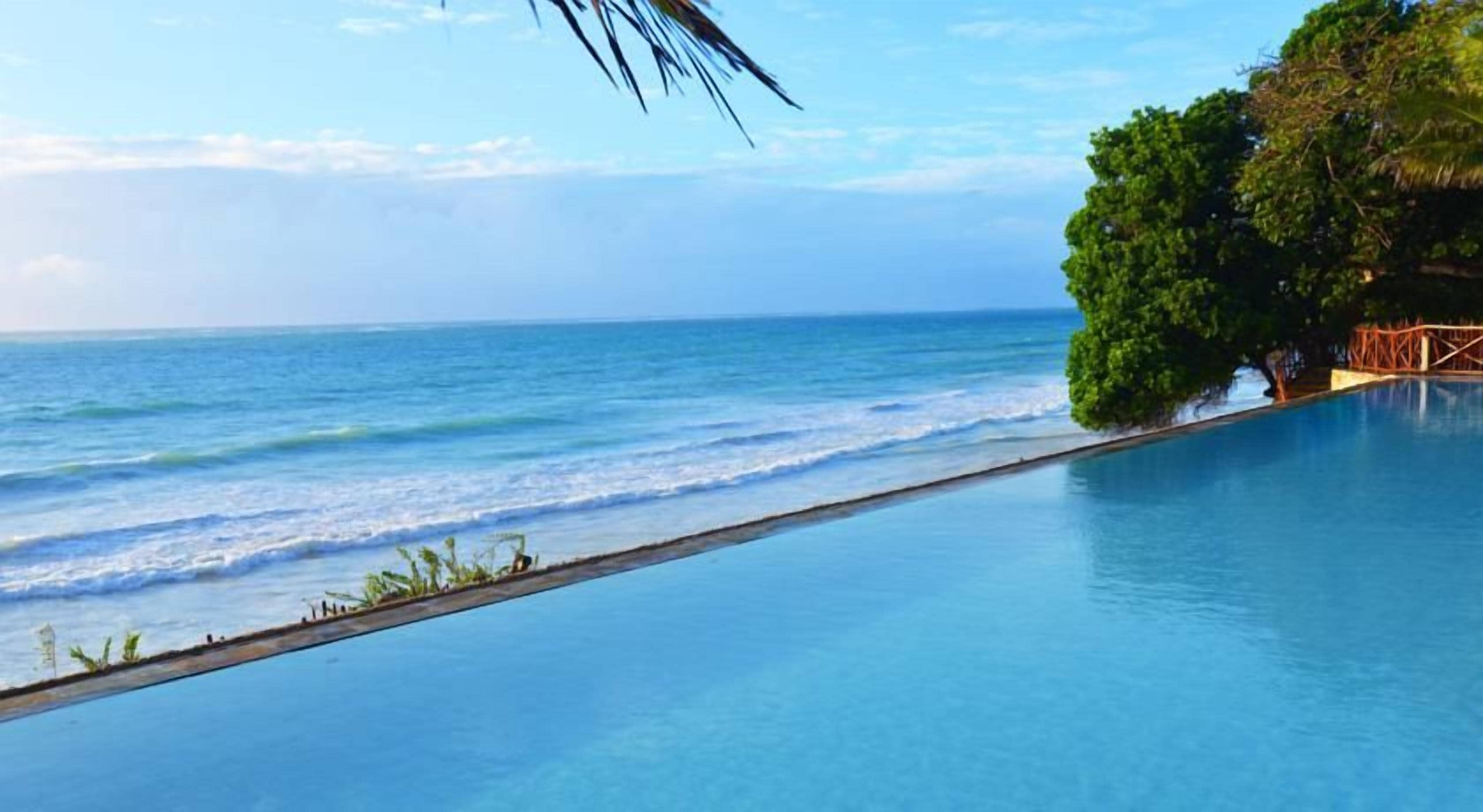 A clear view of a swimming pool with a view of the ocean and a tree-lined area.