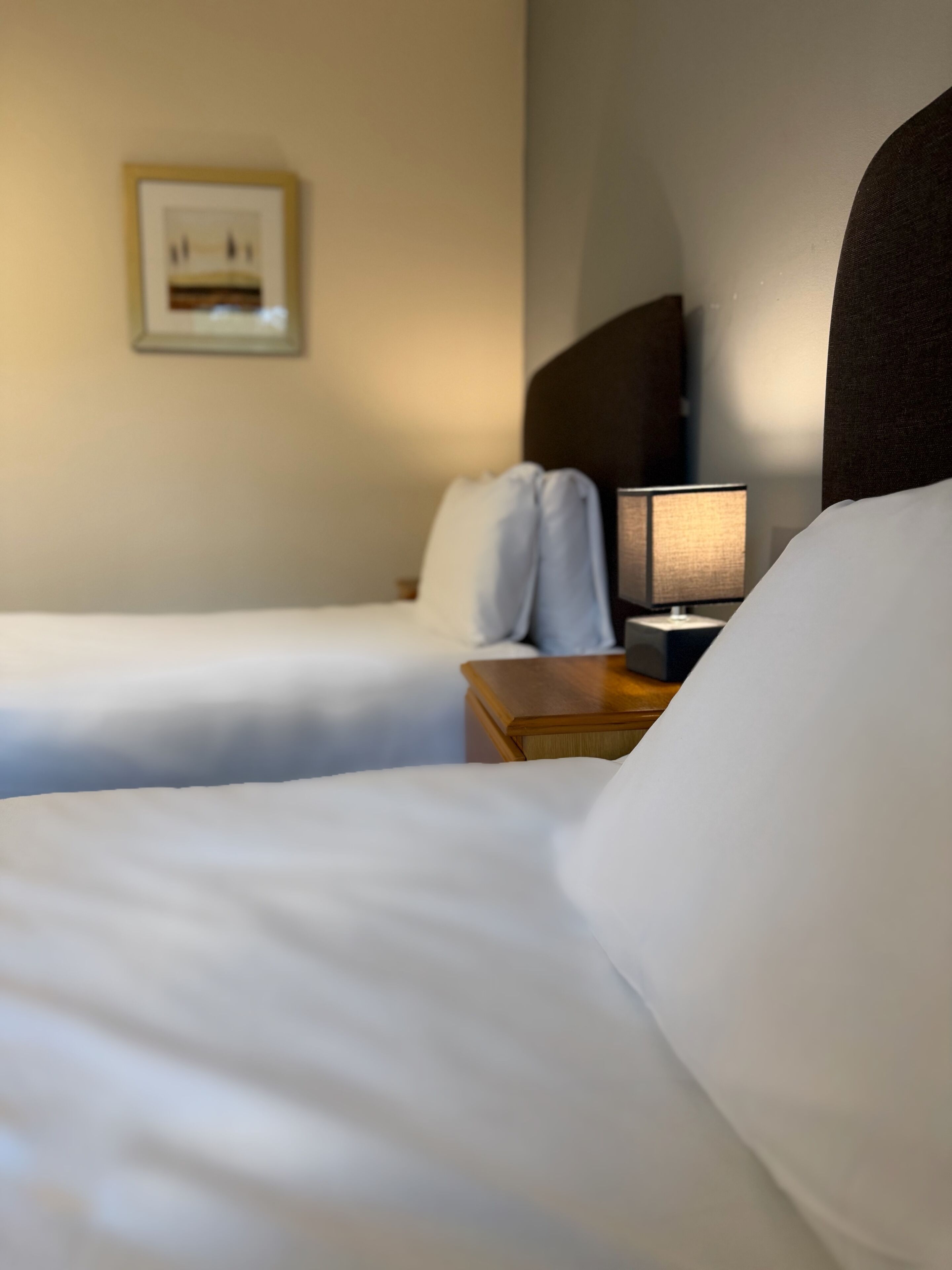 Escritorio, tabla de planchar con plancha, cuna de viaje y wifi gratis 