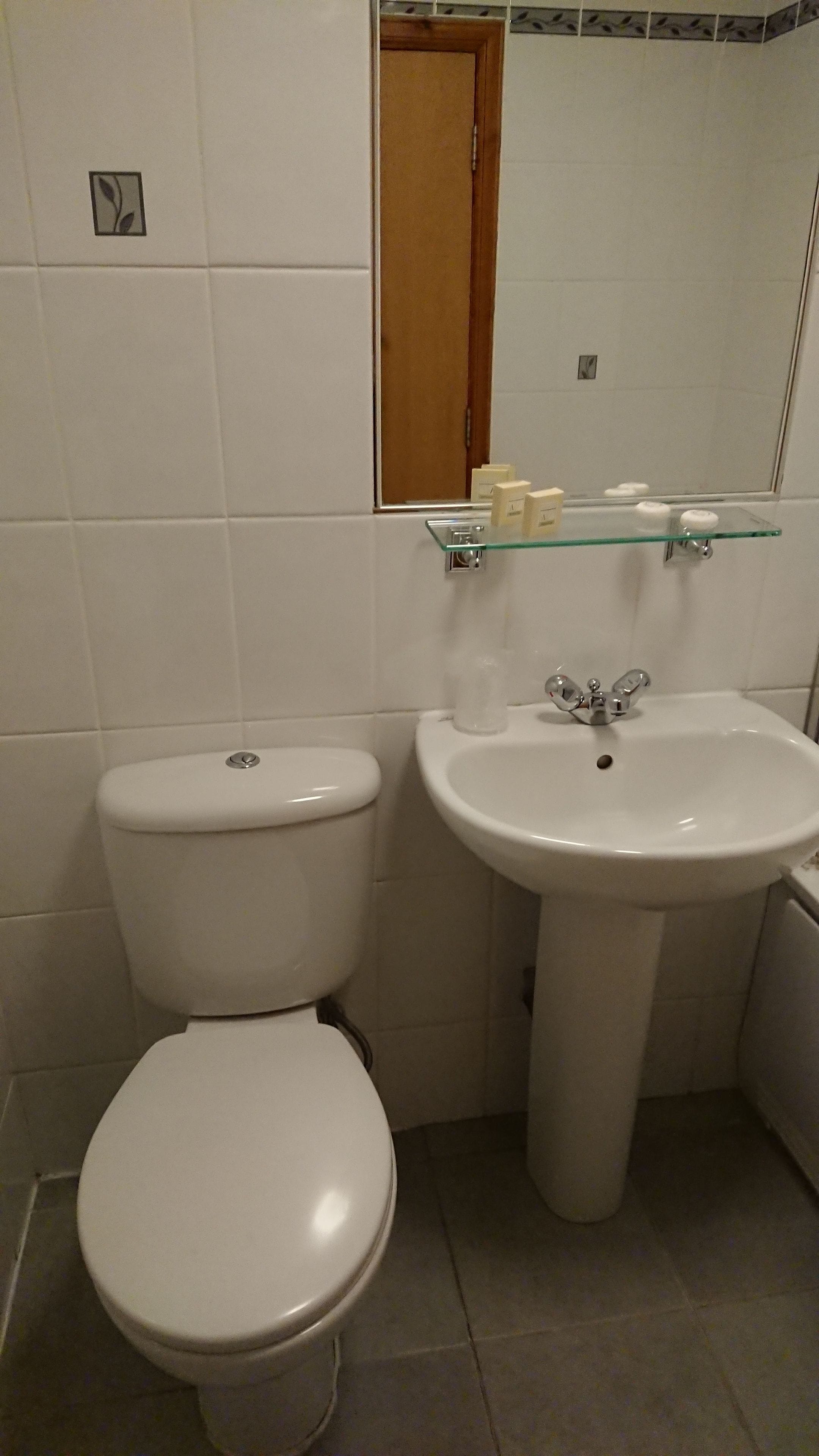 A bathroom with a toilet, a sink, and a glass shelf with toiletries.
