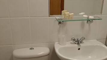 A bathroom with a toilet, a sink, and a glass shelf with toiletries.