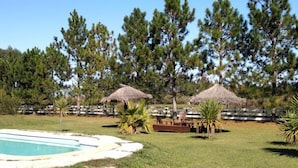 A pool area with a thatched-roof structure, surrounded by grass and trees. - Posada de Campo Lo de Fatsia (Colonia del Sacramento)
