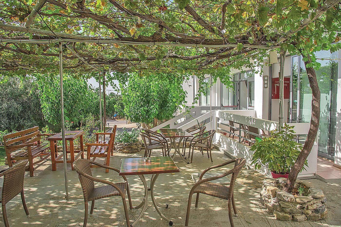 Un patio al aire libre con mobiliario de mimbre, una jardinera de piedra y una pérgola cubierta de enredaderas.