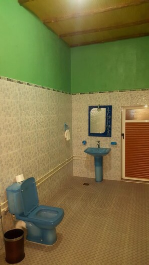 Shower, towels, soap, shampoo