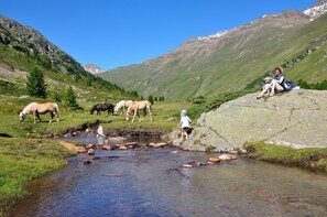 Vista dalla struttura