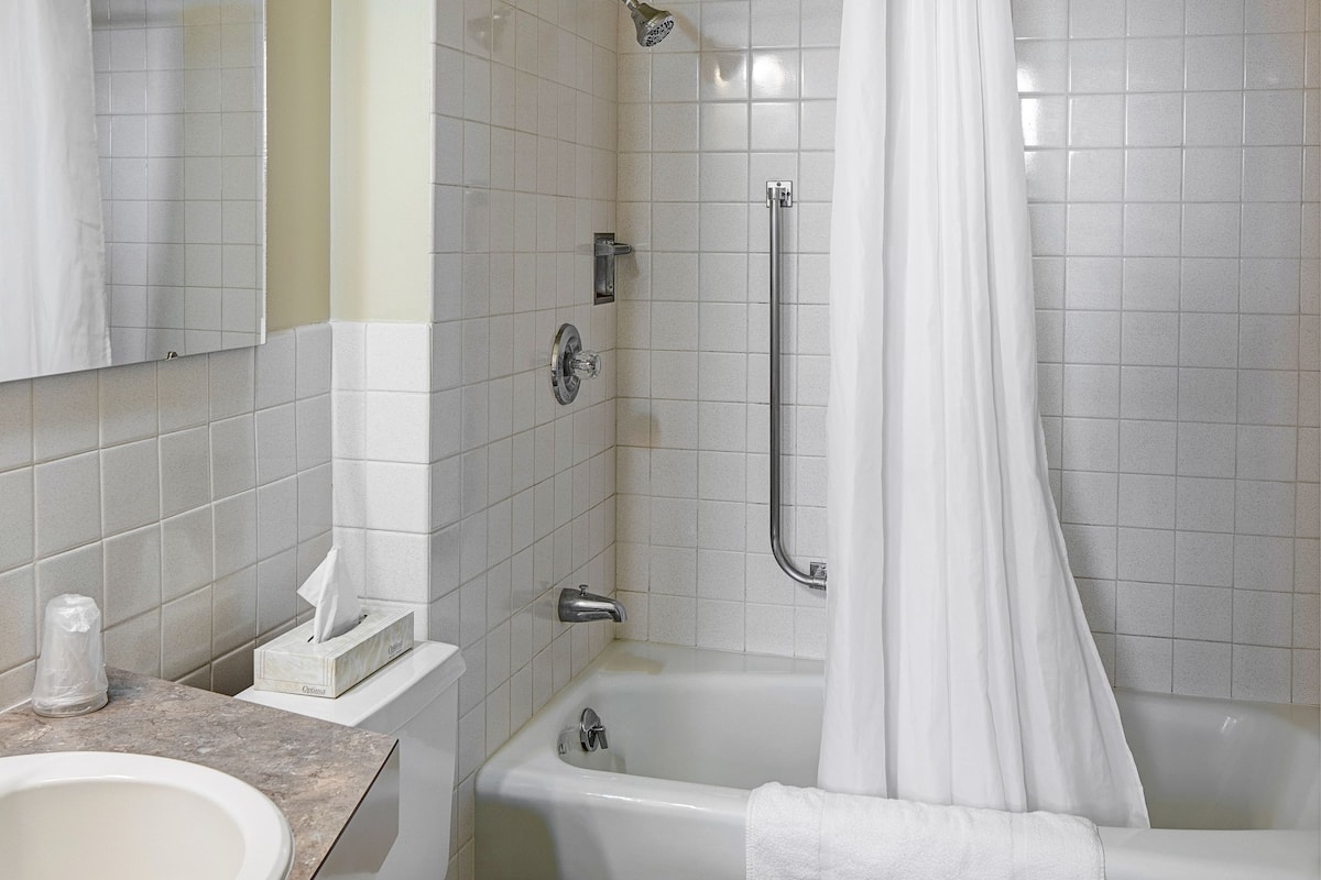 combined shower/bathtub, free toiletries, hair dryer, towels