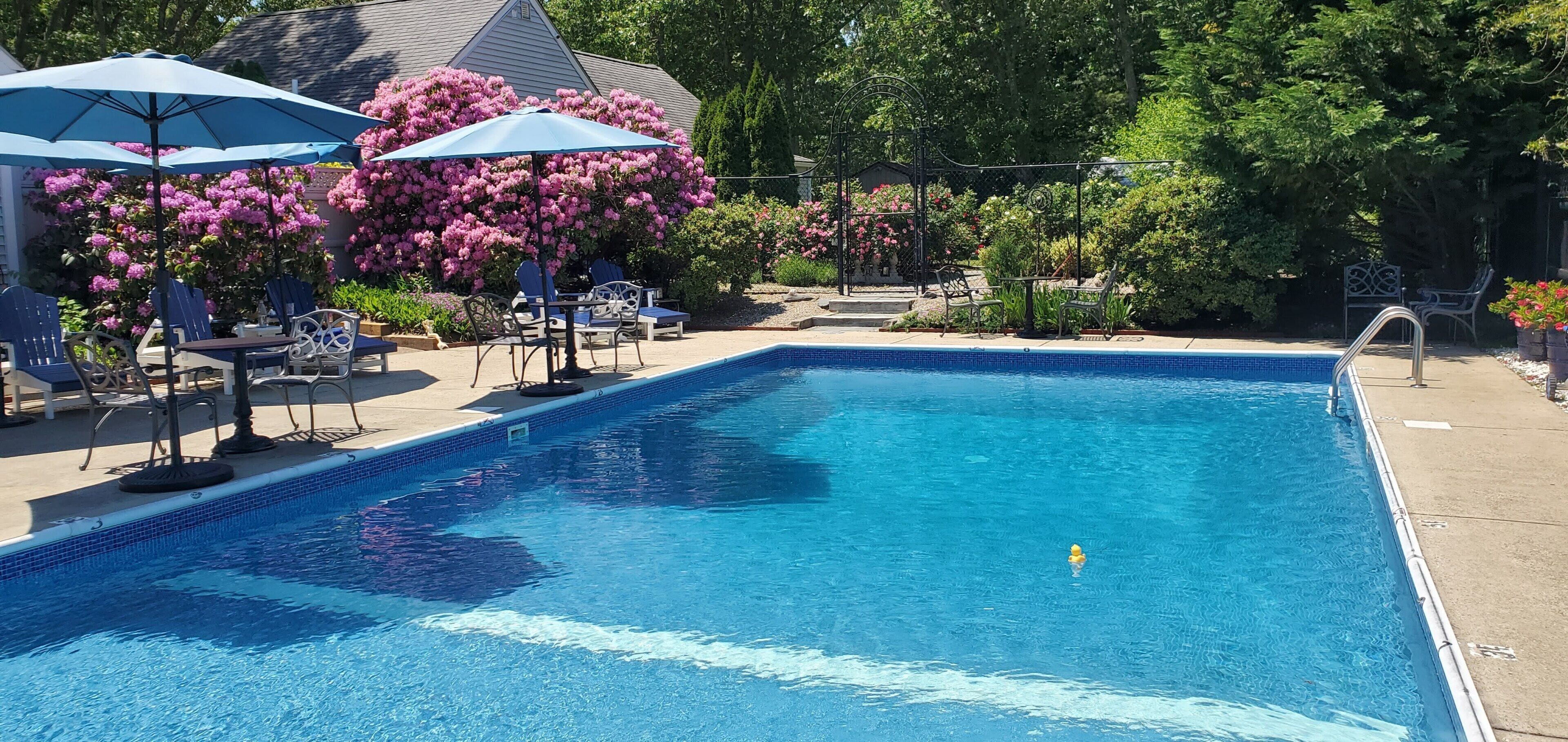 A rectangular swimming pool with a clear blue water surface, surrounded by lounge chairs and umbrellas, with a garden and trees in the background.