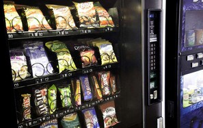 Vue depuis l’hébergement