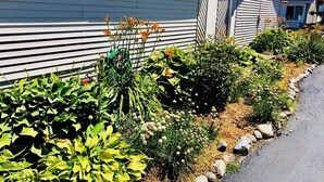 Uma área residencial com uma fileira de casas, um jardim com diversas plantas e flores, e uma rua pavimentada.