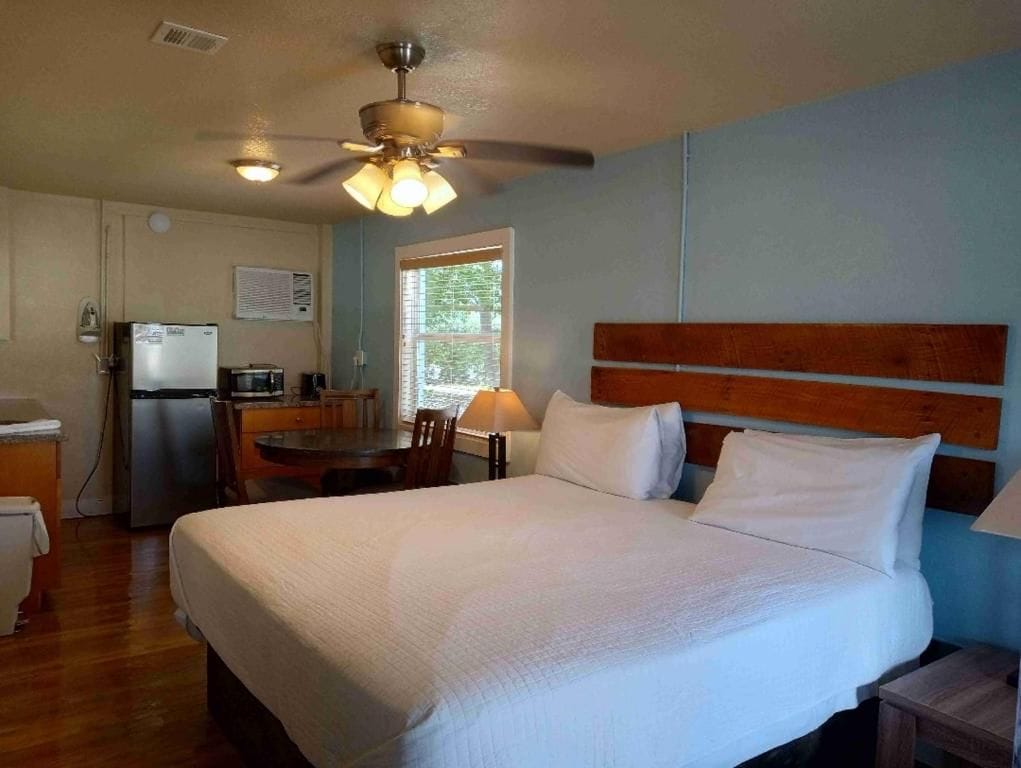 A hotel room with a bed, a desk, a refrigerator, and a ceiling fan.