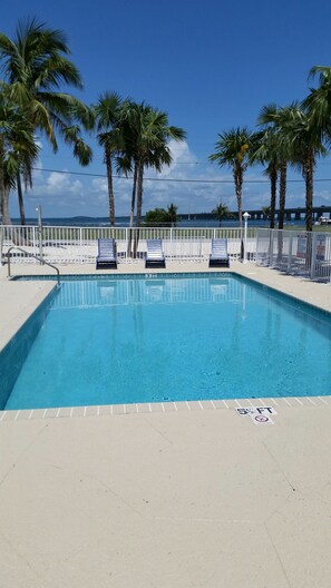 Outdoor pool, sun loungers